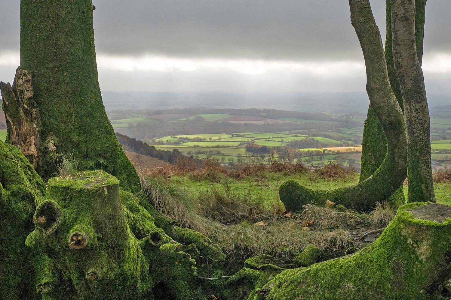 03 triscombe stone