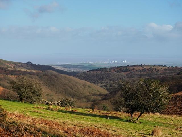 48666 2019 view over hodders combe quantocks