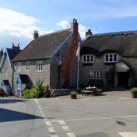 Chardstock