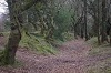 Dead womans ditch quantocks