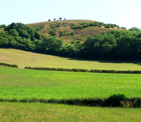 Dundon hill