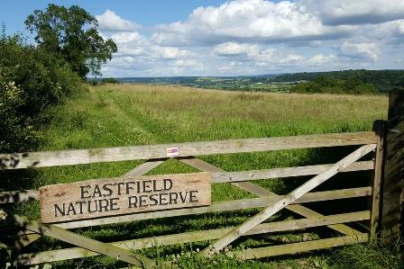 Eastfield nature reserve