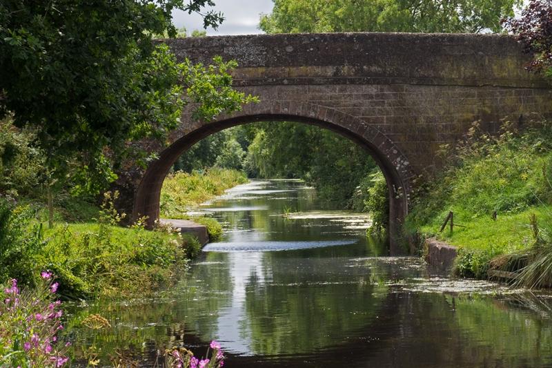 Halberton gw canal