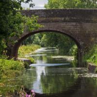 Halberton gw canal