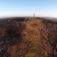 Hardy s monument 1