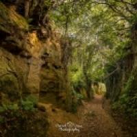 Symondsbury dorset quarr lane 200x133