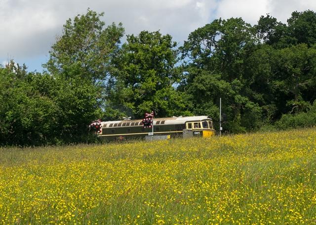 Wsr near crowcombe