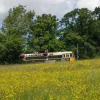 Wsr near crowcombe